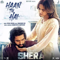 Haan Tu Hai (From Shera)