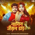 Nagin Jaisan Daar