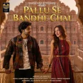 Pallu Se Bandhe Chal
