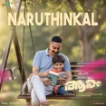 Naruthinkal