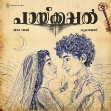 Paaykappal