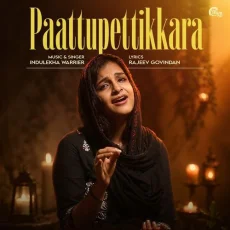 Paattupettikkara