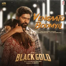 Vengaatu Boomyil