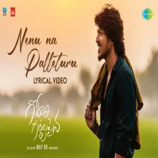 Nenu Na Palleturu