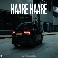 Haare Haare (Remix)