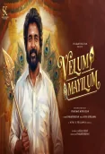 Velum Mayilum (2026)