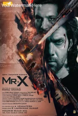 Mr X