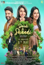 Daadi Ki Shaadi