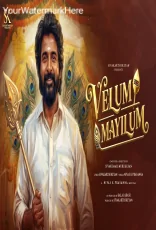 Velum Mayilum