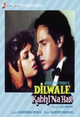 Dilwale Kabhi Na Hare
