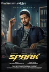 Spark (Kannada)